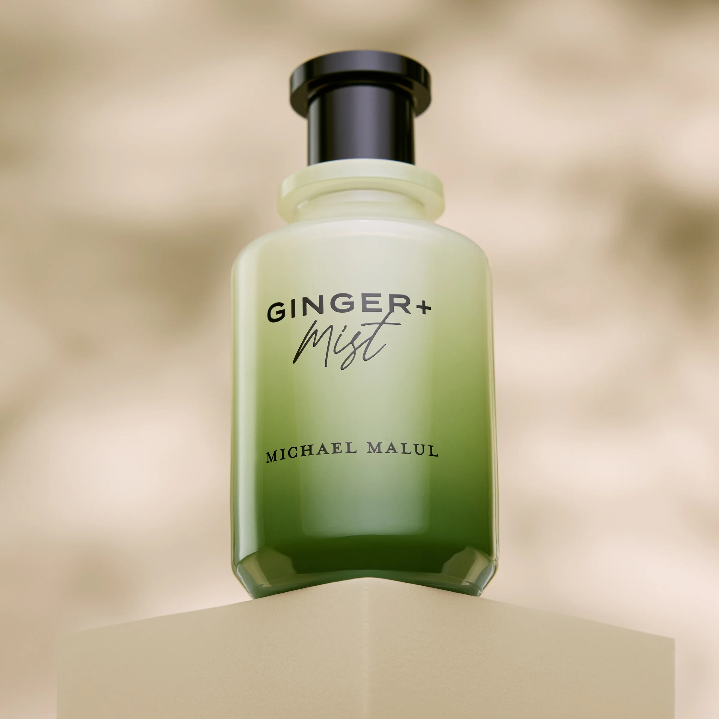 Ginger+Mist - Image 4
