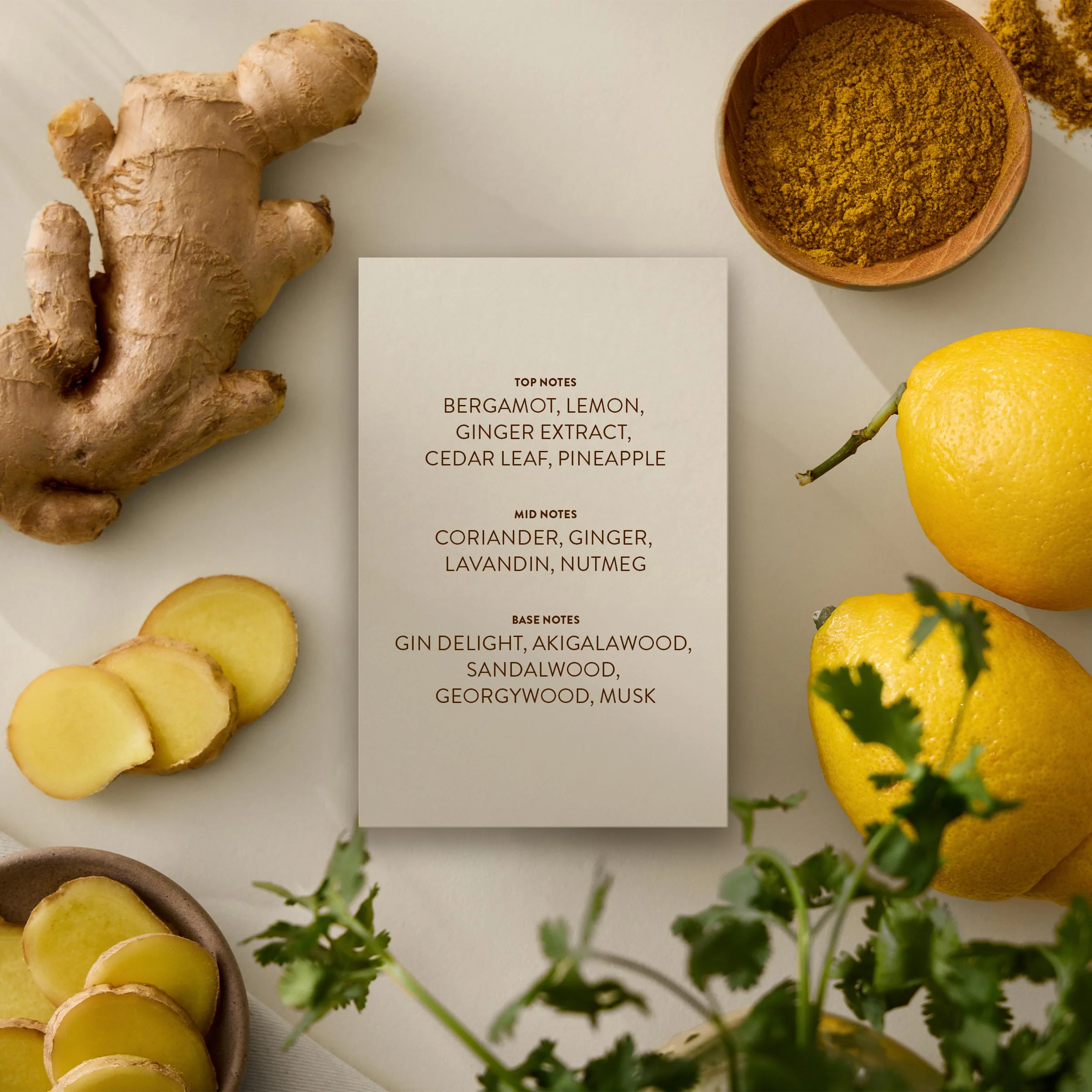Ginger+Mist - Image 8