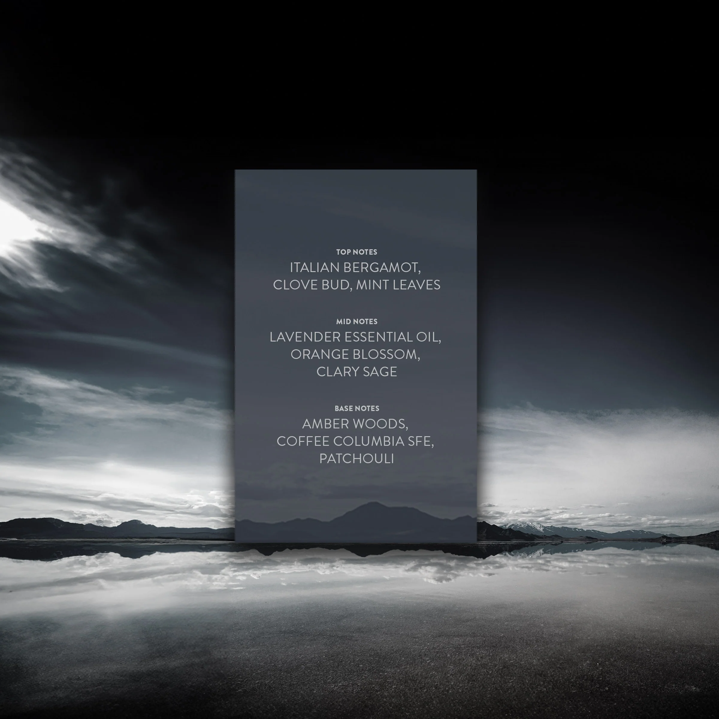 Jet Black Horizon - Image 8
