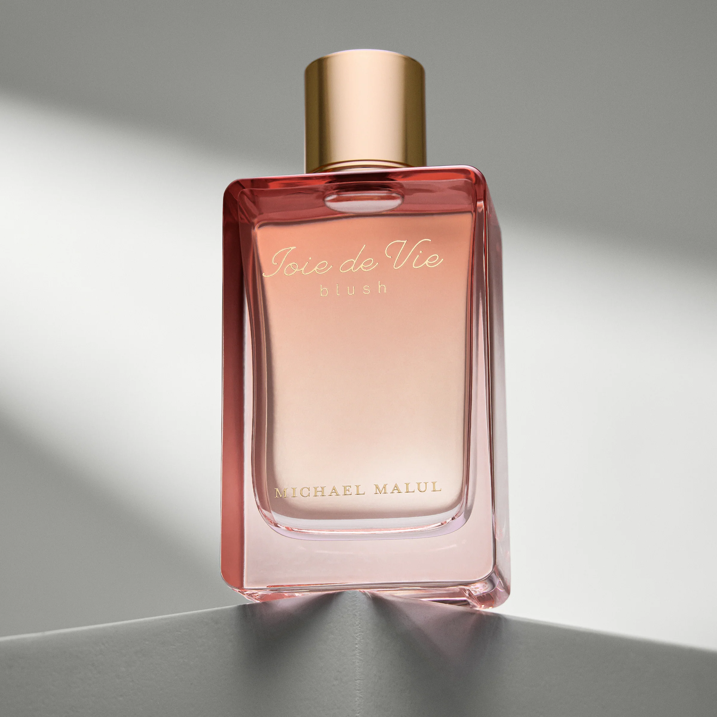 Joie de Vie Blush - Image 4