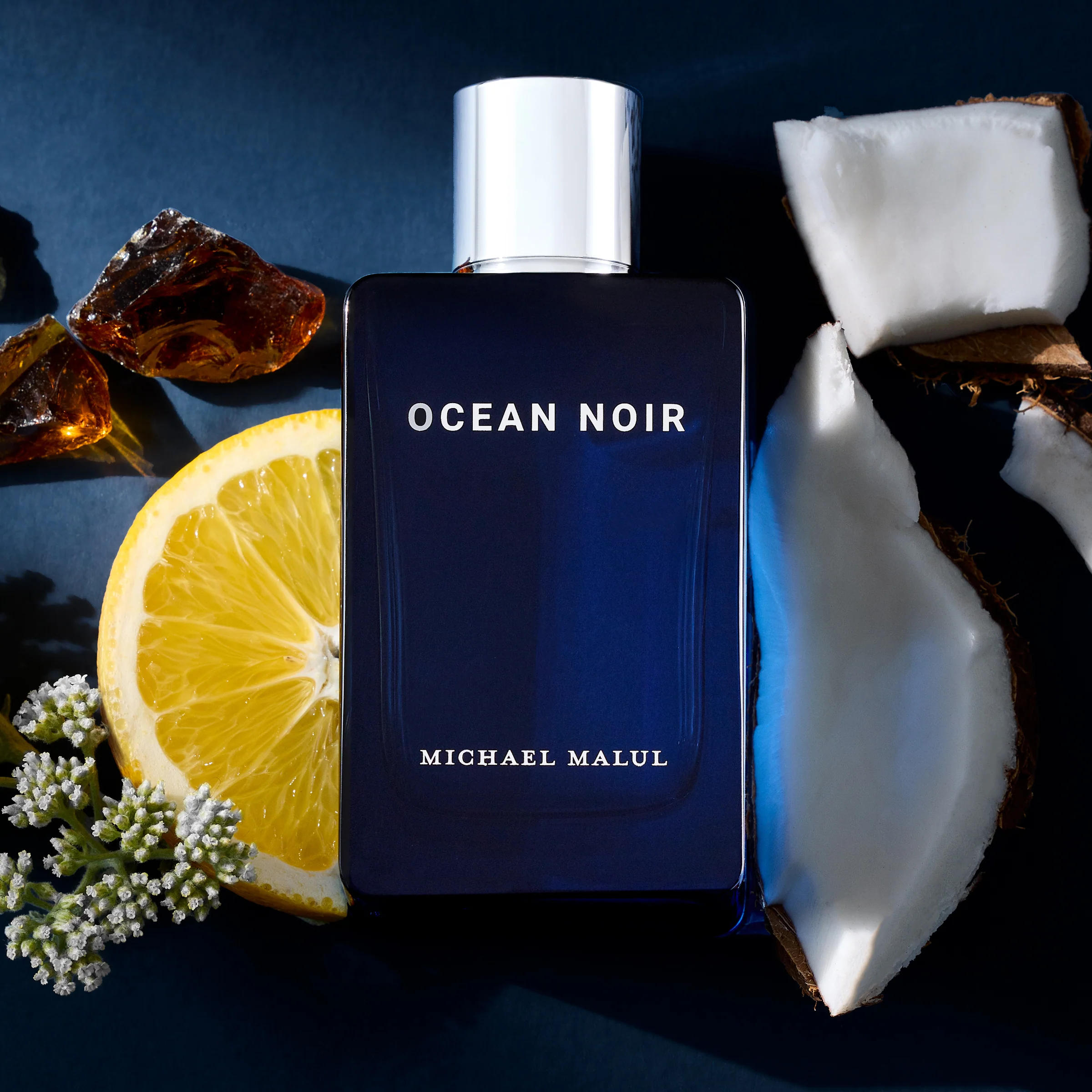 Ocean Noir - Image 5