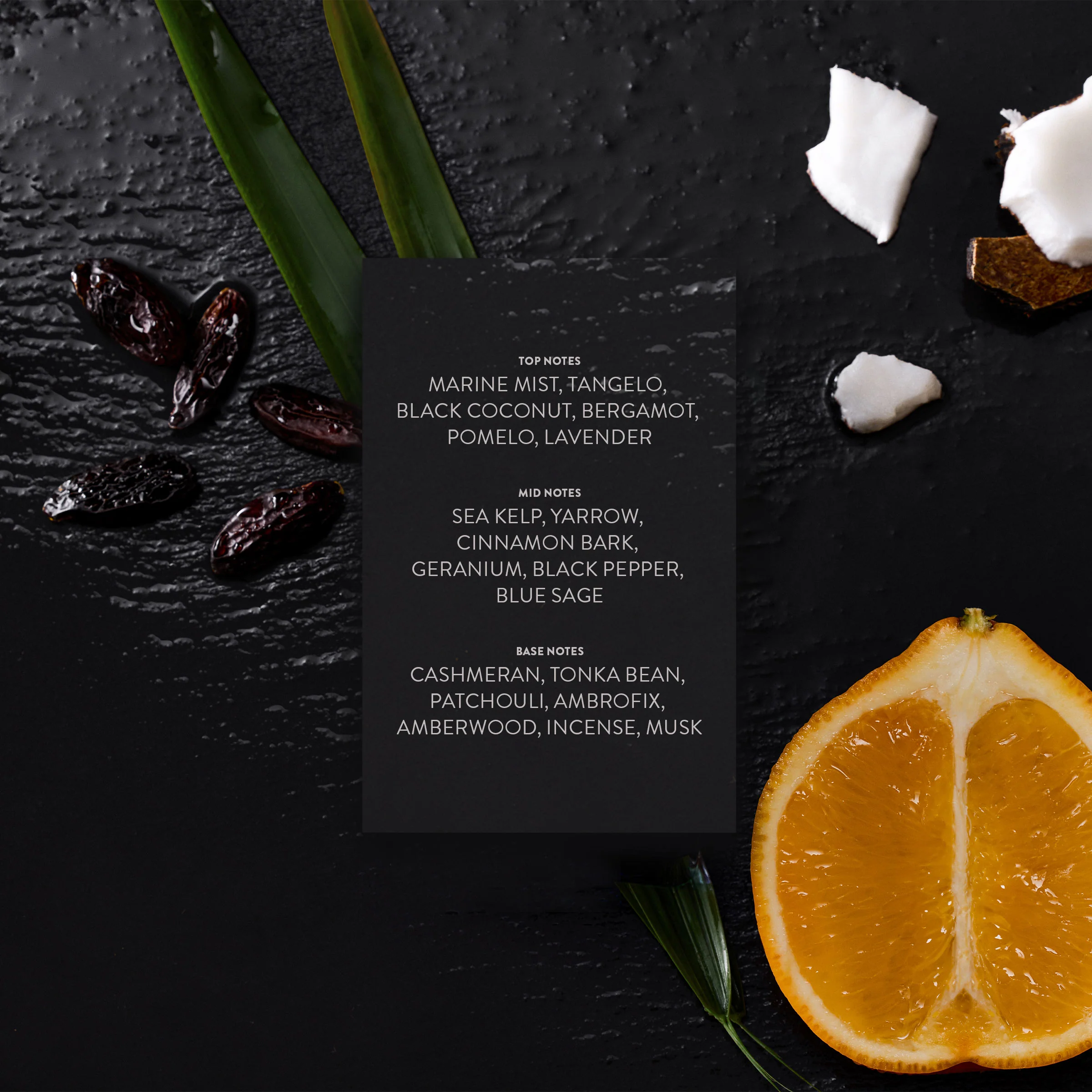 Ocean Noir Parfum - Image 8