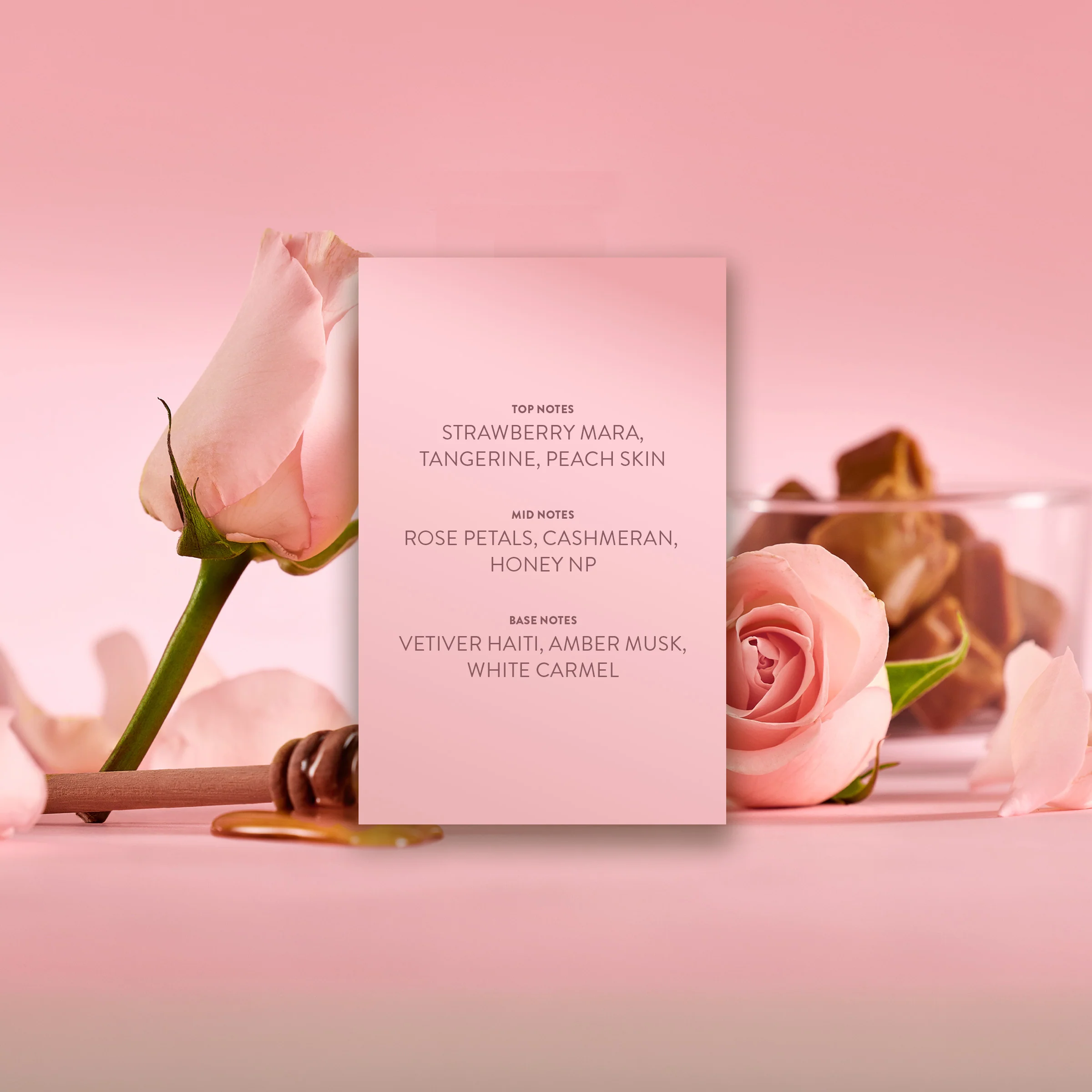 Rose+Honey - Image 8
