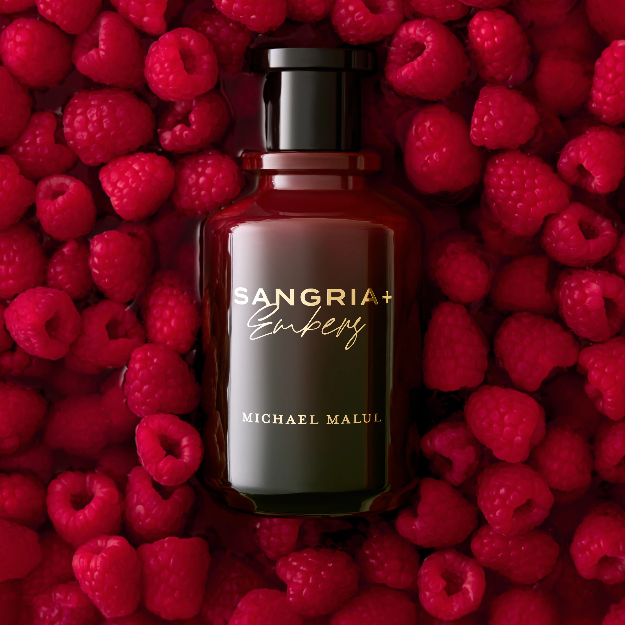 Sangria+Embers - Image 5