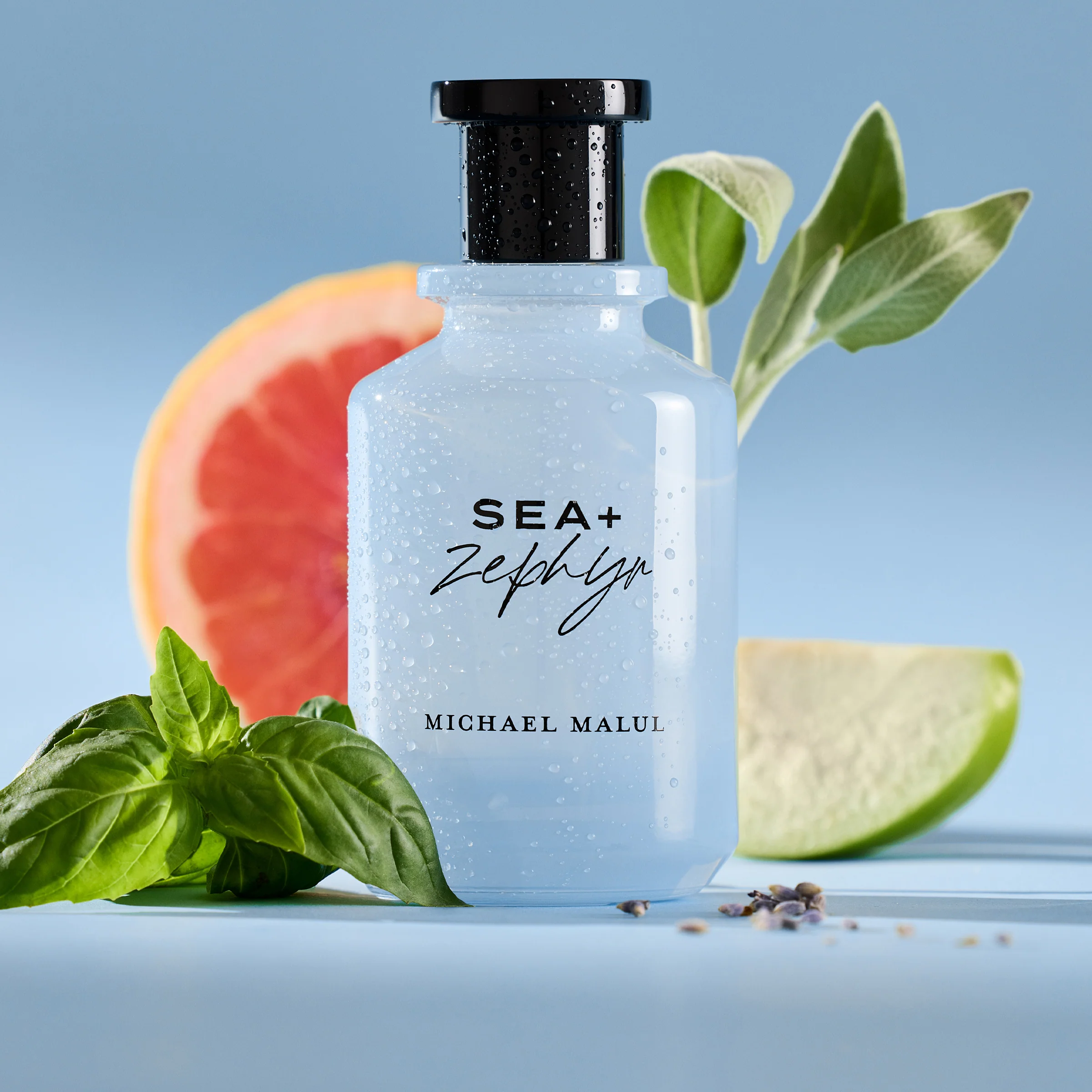 Sea+Zephyr - Image 5