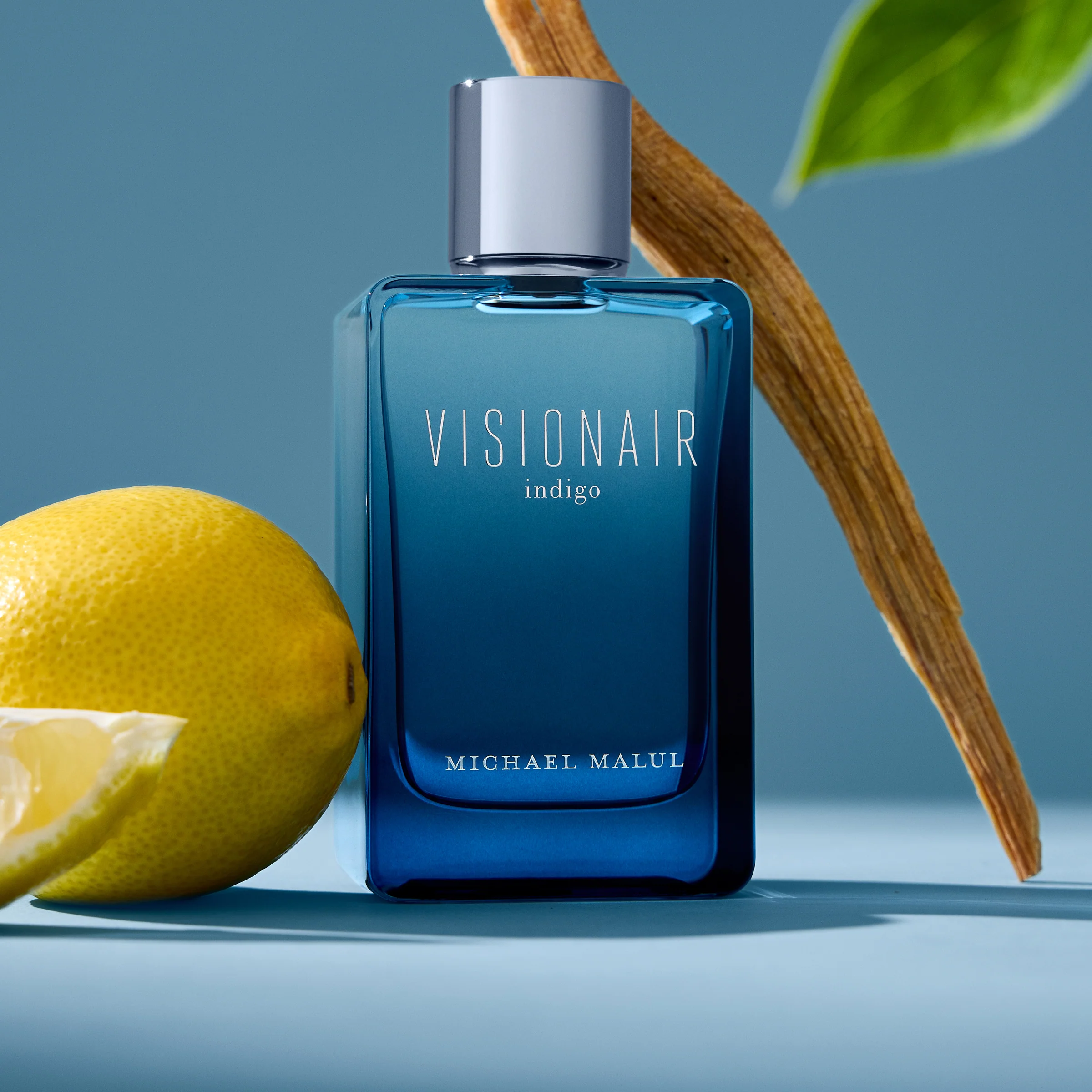 Visionair Indigo - Image 5