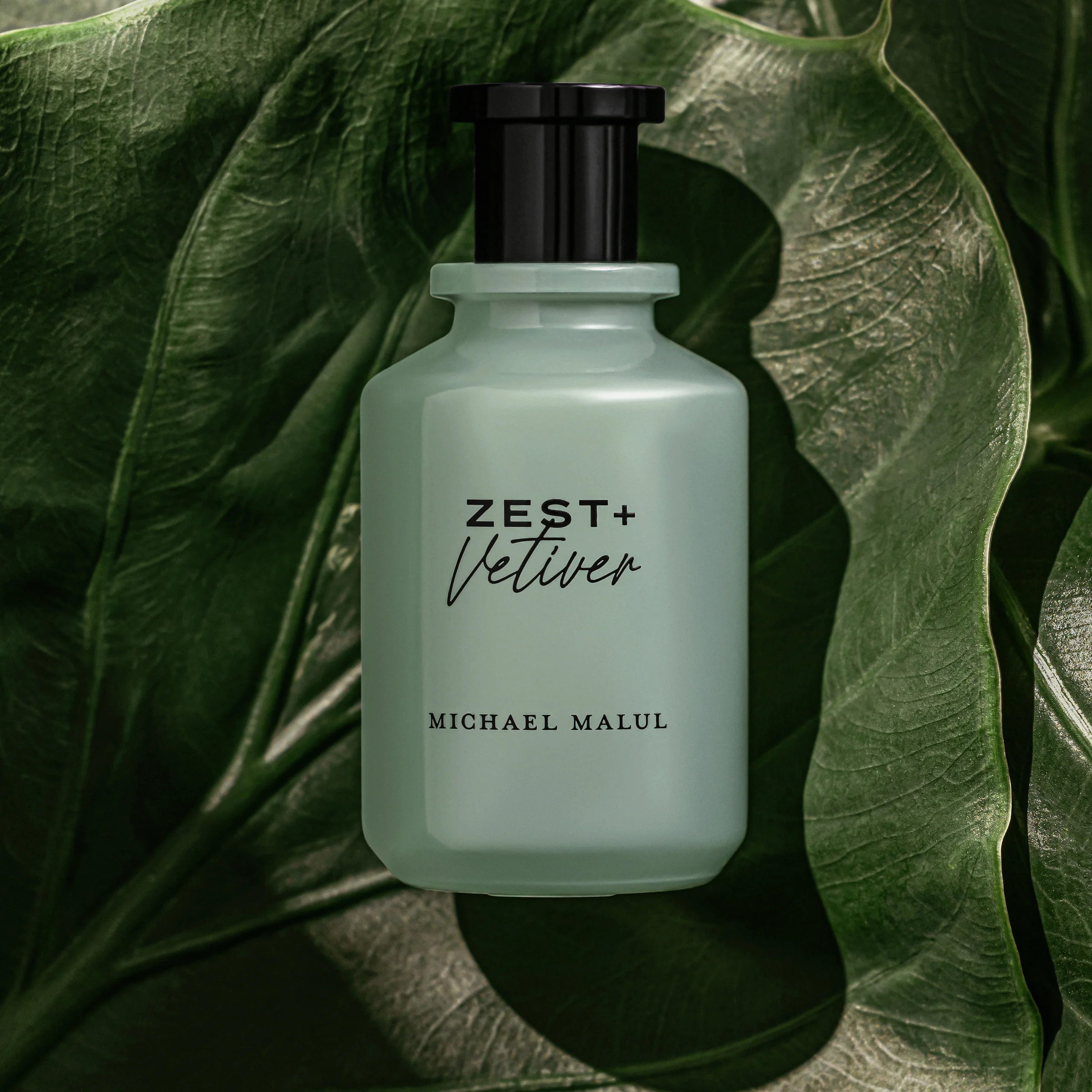 Zest+Vetiver - Image 4