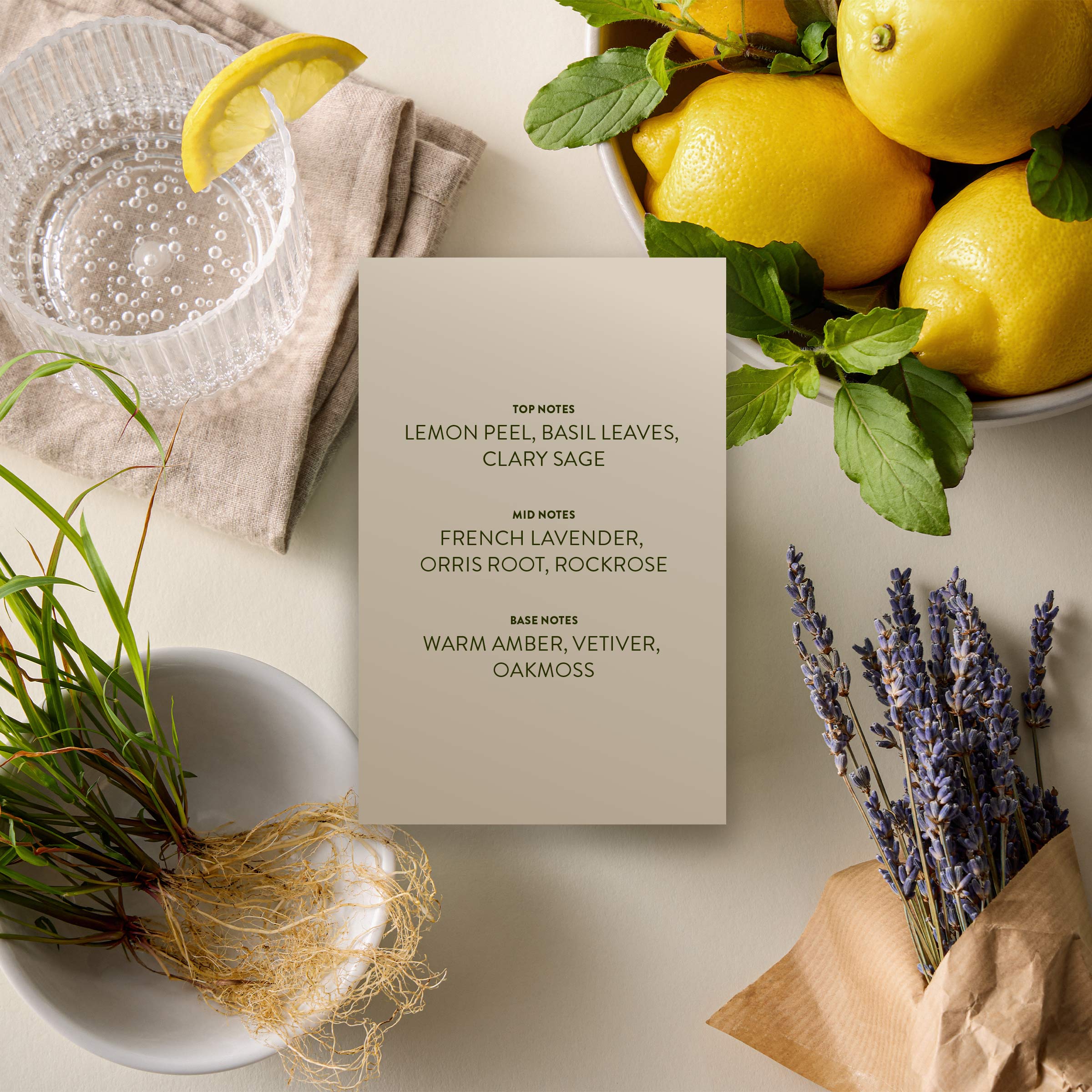 Zest+Vetiver - Image 7